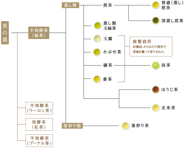お茶の種類